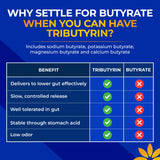 CoreBiome Tributyrin Supplement - Better Delivery & More Effective than Sodium Butyrate - Gut Health & Digestive Support - 3-in-1 Butyrate Postbiotics for Leaky Gut & Gut Barrier Support - 30 Capsules