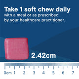 Bariatric Fusion Bariatric Calcium Supplement Chews | Calcium Citrate with Vitamin D3 Bariatric Vitamin | Sugar Free Chewable |500mg | Fruit Punch | 60 Count