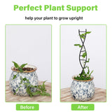 Goooxim DNA Spiral Plant Trellis Indoor - Durable Metal Trellis for Potted