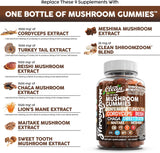 15in1 Mushroom Gummies with Lion's Mane Turkey Tail Cordyceps Reishi Chaga Sweet Toot Maitake Meshima Poria Cocos Shiitake Tremella, Oyster Agaricus Mushrooms for Men and Women Supplement - 2Pack