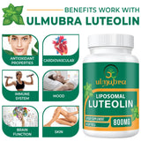 Ulmubra 800 MG Liposomal Luteolin Supplement - Maximum Absorption, Premium Antioxidant Supplement for Brain & Overall Well-Being, 60 Softgels - 30-Day Supply