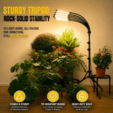 Grow Lights for Indoor Plants [ 10 in1 ] 500 LEDs, Full Spectrum Grow Light for Indoor Growing with Tripod Stand, Auto On/Off Timing 4/8/12H, Plant Grow Lights Indoor.