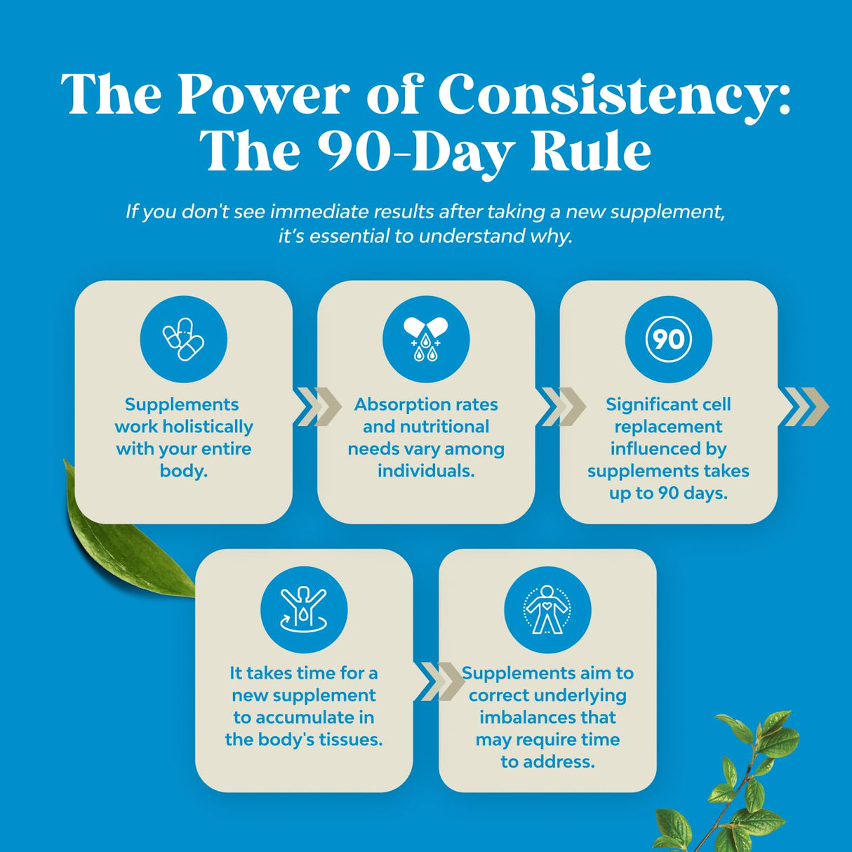 Natures Craft Plant Sterols Complex with Beta Sitosterol - 500mg Beta-Sitosterol Sterols and Stanols Supplement for Prostate Support - Prostate Health Supplement for Men - 90 Tablets