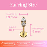 Cords Club Stars Align Flat Back Stud- Hypoallergenic Titanium Earring