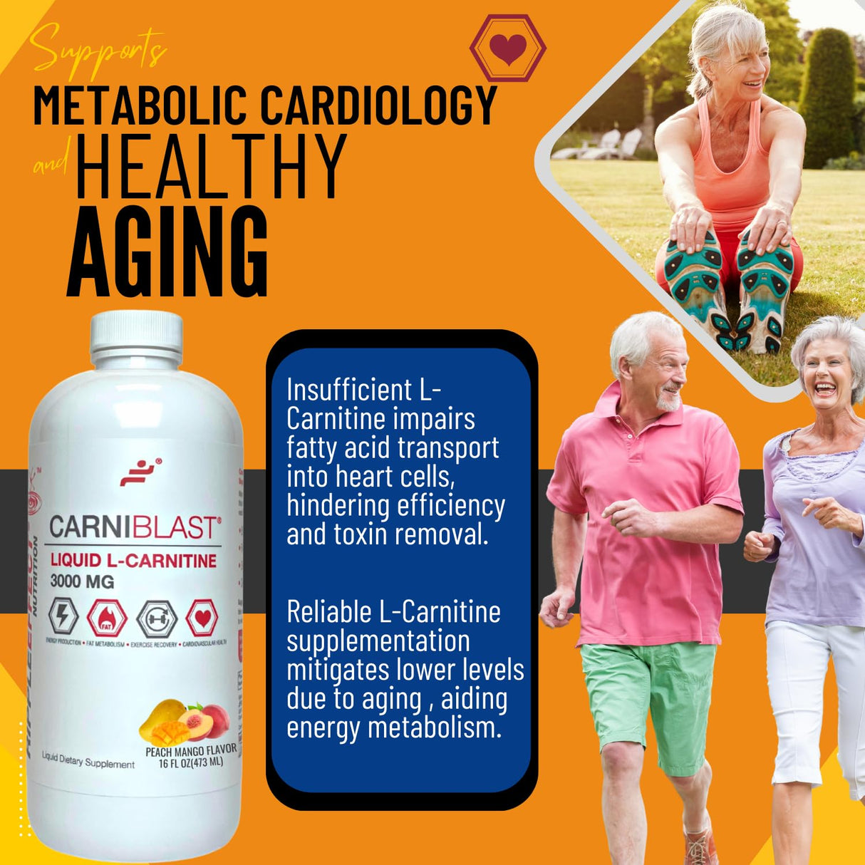 Bricker Labs CARNIBLAST Liquid L-Carnitine 3000mg, Premium L Carnitine Carnipure, Sports Nutrition, Energy Supplement and Energy Booster, Peach Mango 16 fl oz