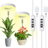Halo Ring Grow Lights for Small Indoor Plants, Warm+White 96LEDs Full Spectrum Plant Light, Height Adjustable with Adapter, 3/9/12H Timer, 3 Spectral Modes, 10 Dimmable Levels, Angel Ring 2 Pack