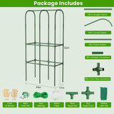 62in Tall Cucumber Trellis for Raised Bed, 34" L x 62" H Metal Garden Trellis for Climbing Plants Outdoor, U-Shape Vegetables Trellis Support for Squash Zucchini Peas Grape