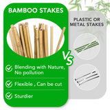SWANGSA 75 Pack 5Ft (57.5inch) Garden Bamboo Stakes for Plant Support, Garden Poles for Tomatoes, Beans, Flowers, Potted, Indoor and Outdoor Climbing Plants