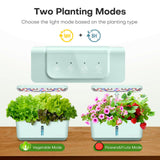 Ahopegarden Indoor Garden Hydroponics Growing System: 10 Pods Plant Germination Kit Herb Vegetable Growth Lamp Countertop with LED Grow Light - Hydrophonic Planter Grower Harvest Lettuce