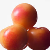 Calvin Klein Euphoria for Women Eau de Toilette, 3.3 Fl Oz