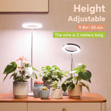 GTRUIIDY Desktop Grow Light, Full Spectrum Plant Light with Timer, Height Adjustable Halo Grow Lamp for Indoor Plants, 3 Lighting Modes for Seedlings & Succulents, White