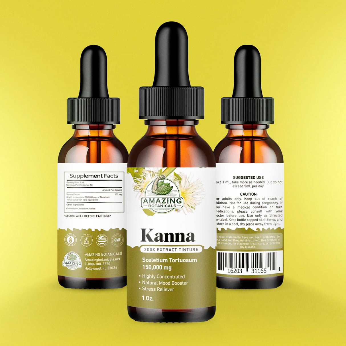 Amazing Botanicals Sceletium Tortuosum Kanna Extract Tincture 200x Menstrum – Liquid Supplement – 30ml (1oz)