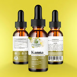 Amazing Botanicals Sceletium Tortuosum Kanna Extract Tincture 200x Menstrum – Liquid Supplement – 30ml (1oz)