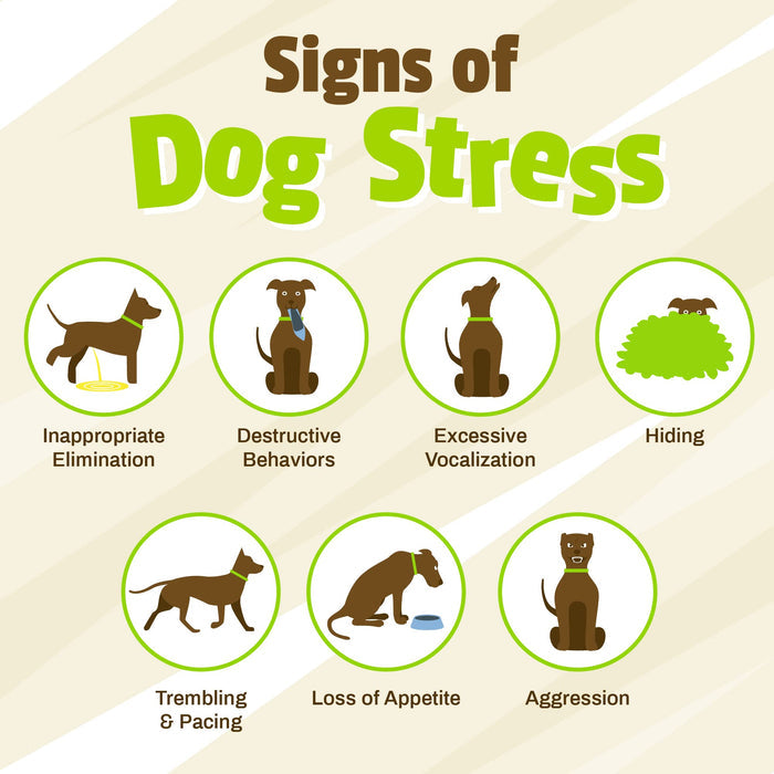 Pet Naturals BusyButter Easy Squeeze Calming Peanut Butter for Dogs, 6 Pouches - Great for Treats, Lick Mats, Training, Calming, and Occupier Toys