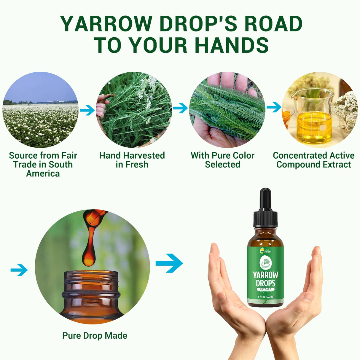 Yarrow Herb Tincture, Organic Yarrow Extract Liquid, 98% Absorption, Vegan, Gluten Free, Non-GMO, Alcohol Free- 1 Fl Oz