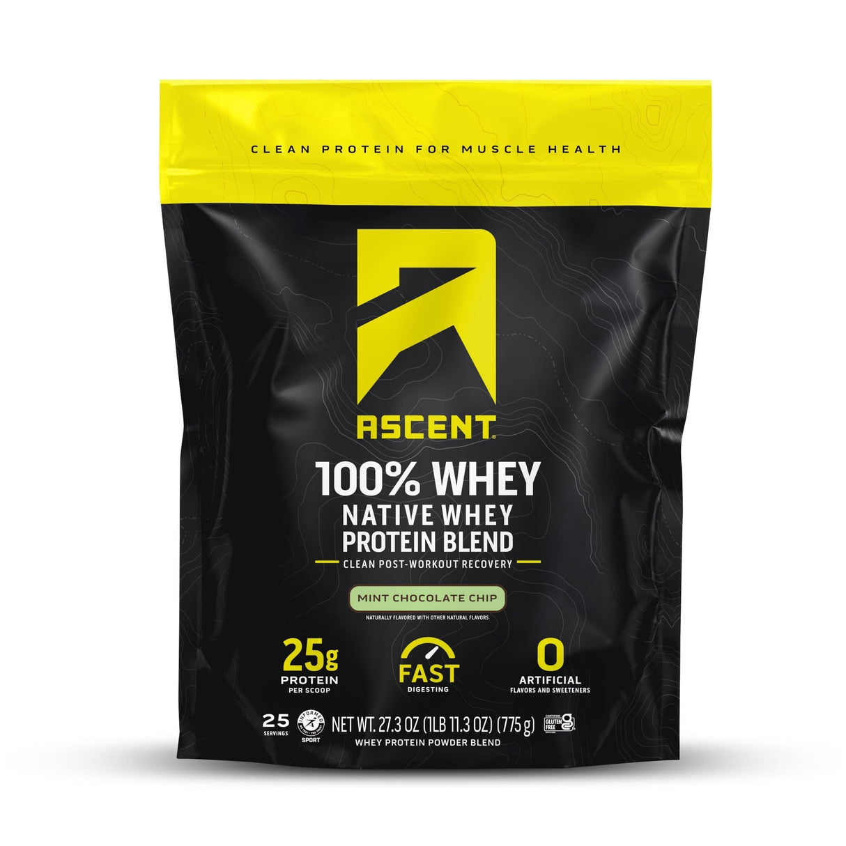 Ascent 100% Whey Protein Powder - Post Workout Whey Protein Isolate, Zero Artificial Flavors & Sweeteners, Gluten Free, 5.5g BCAA, 2.6g Leucine, Essential Amino Acids, Mint Chocolate Chip, 1.7 lb