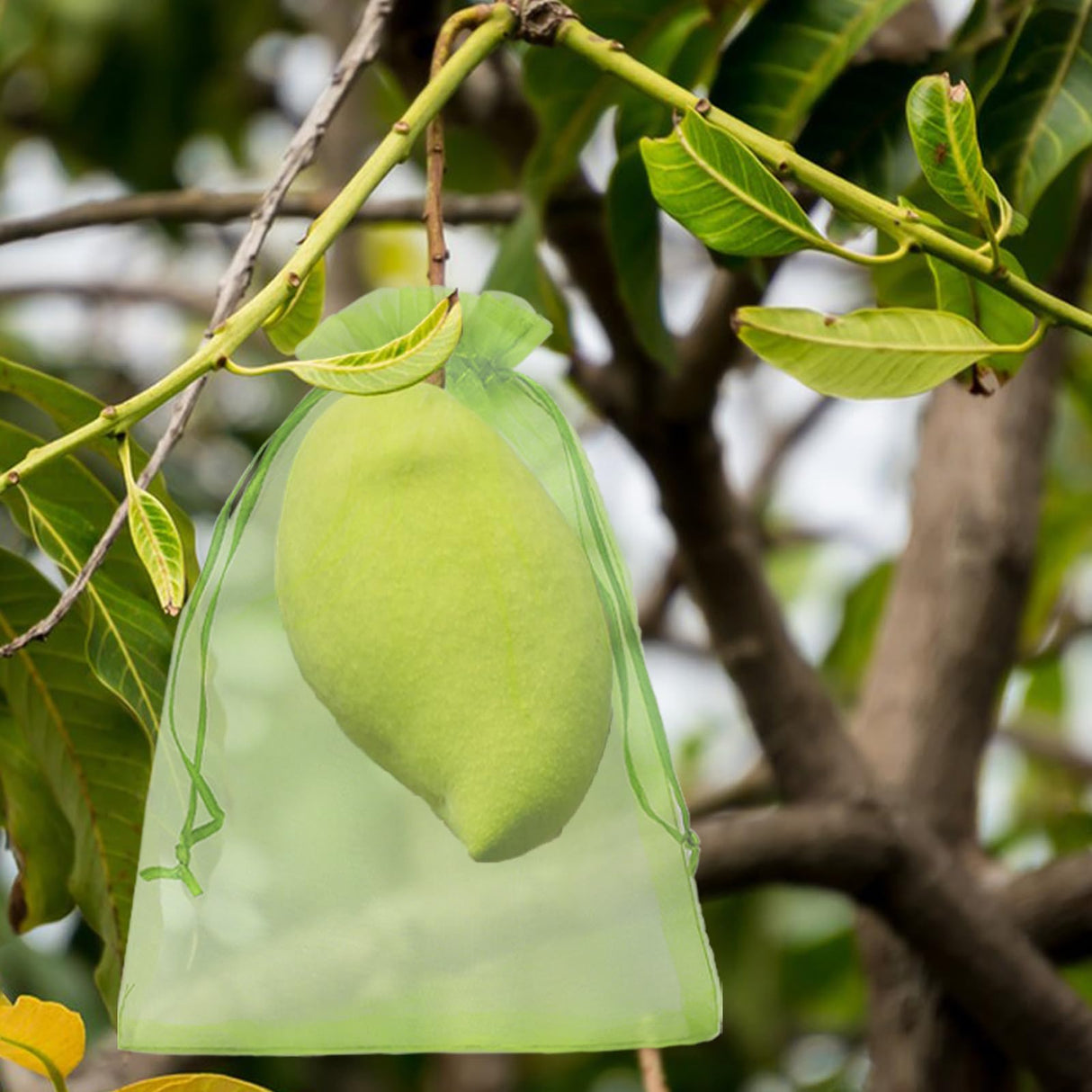 Uigidori 100 Pcs Fruit Protection Bags, 8 x 12 Inch Green Netting Cover Bags with Drawstring, Pest Barrier for Trees, Garden Cover Mesh Bags for Plant Fruit, Flower and Vegetables