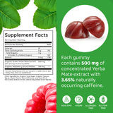 HOLYMARY Yerba Mate Gummies, Raspberry Flavor - Energy, Focus, Power Vegan, Non-GMO, Natural Ingredients, Gluten Free, 50 Delicious Supplement Gummies