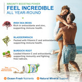 Power By Naturals Sea Moss Plus - USDA Certified Organic Wildcrafted Irish Seamoss, Bladderwrack & Burdock Root, Supplement for Immunity, 60Ct, 2 Pack
