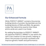 BodyHealth PerfectAmino Powder - BCAA and EAA Powder for Pre and Post Workout - Amino Acid Energy Drink for Men and Women to Support Lean Muscle and Recovery - Unflavored - 60 Servings