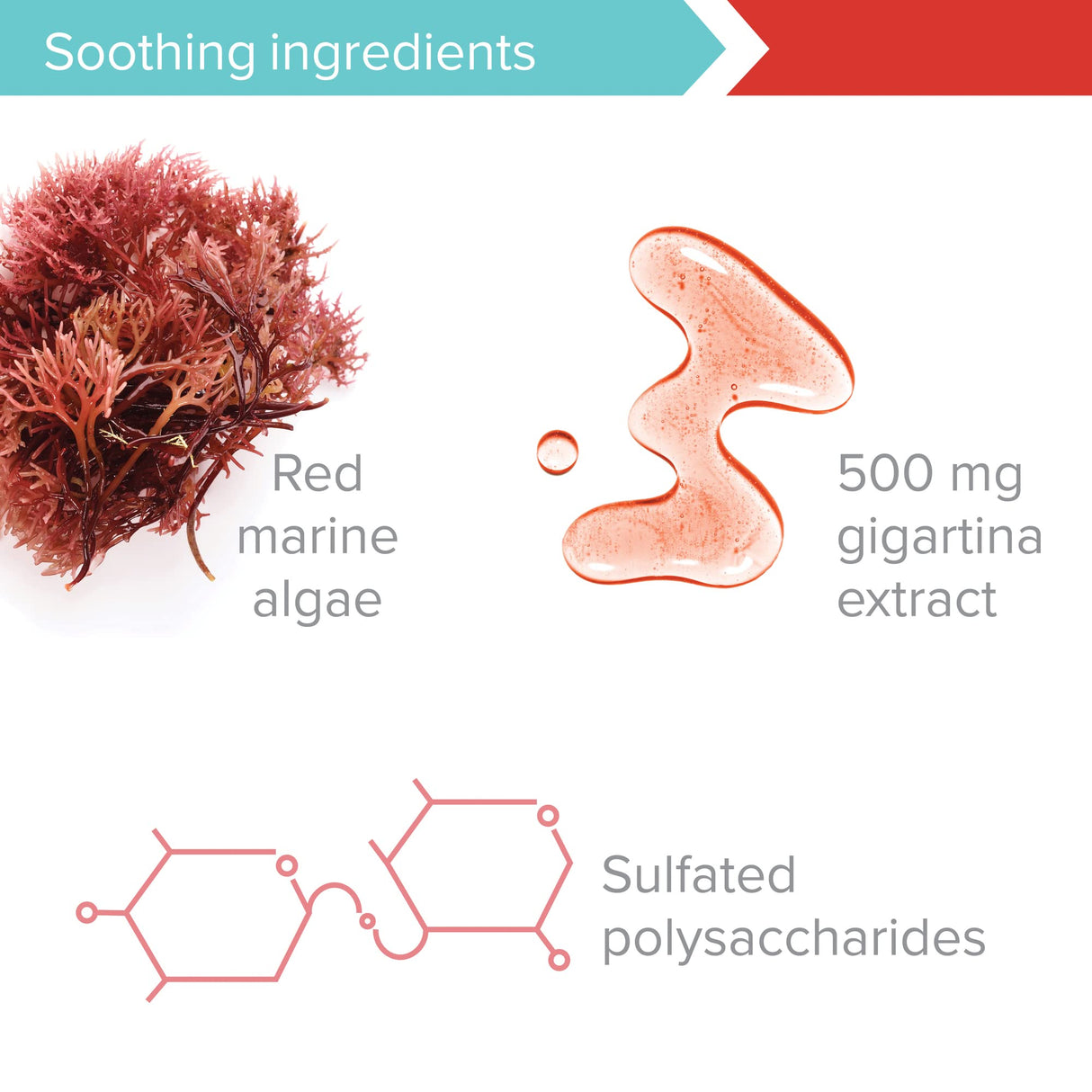 Vibrant Health, Gigartina Red Marine Algae, Plant-Based Immune Support, 60 Capsules