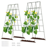 DOEWORKS 48" Cucumber Trellis, 2-Pack, Foldable, for Cucumbers, Beans, Tomatoes, Flowers
