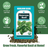 Basil Seed Pods for AeroGarden - 12 Hydroponic Refill Herb Pods with Seeds of Genovese Basil for Most Hydroponic Systems of Ahopegarden, GARDENCUBE, iDOO, and URUQ, Grow Your Own Herb Garden at Home