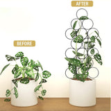 IA Garden Trellis for Climbing Plants Indoor,4 Pack Stackable Garden Trellis for Potted Plant Support, 15.7 Inch Small Houseplant Metal Wire Trellis for Vine Ivy Rose Plant Trellis (Black)