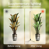Atmel Standing Grow Lights for Indoor Plants with Timer 4Ft, 3 Adjustable Modes Full Spectrum Plant Lights for Indoor Growing, 243 LED Plant Grow Light for Flowering, Office, Indoor Garden