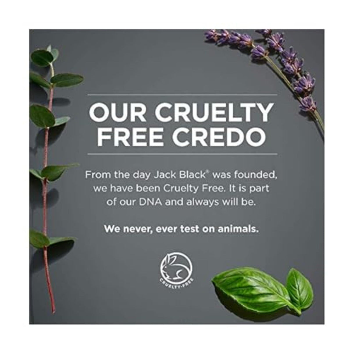 Jack Black Beard Lube Conditioning Shave - Mens Gifts, Beard Conditioner for Men, Beard Softener for Men, Mens Beard Care, Mens Beard Conditioner, Christmas Gifts for Men, Beard Gifts for Him 16 Fl Oz