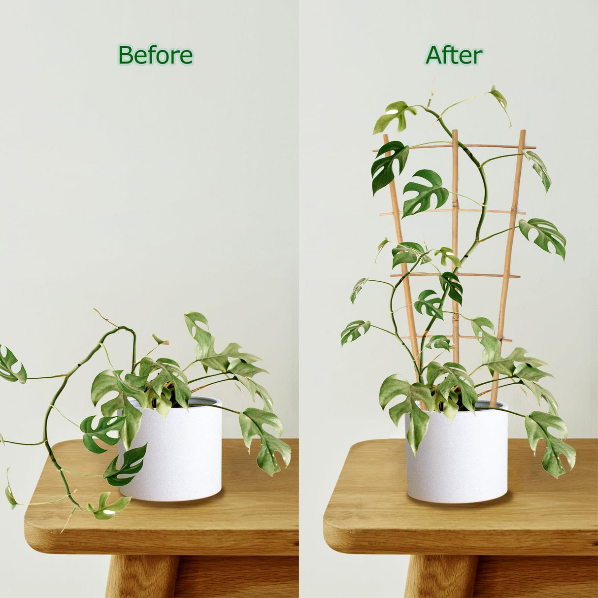 Cambaverd Plant Trellis Indoor, 16in Bamboo Trellises, 6 Pack Small Trellis