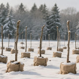 40" x40 Feet Premium Natural Burlap Fabric Roll – Multipurpose for Gardening, Weddings, Crafts & Holiday Decor – Wedding Aisle Runner, Halloween/Christmas Burlap, Weed Barrier & More