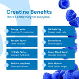 Create Creatine Monohydrate Gummies for Men & Women, Boost Focus, Strength, and Endurance, Anti-Melting Formula, Vegan, Gluten-Free, Non-GMO, 1.5g of Creatine per Gummy (Blue Raspberry, 90 ct)