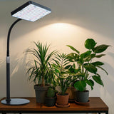 Orchbloom Tabletop Grow Lights for Indoor Plants 25 Watt, Bright Natural Sunlight Full Spectrum Plant Growing Lamps for Houseplants & Bonsai, 4/8/12/16/20H Timer Plant Light Auto On/Off Everyday