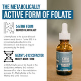 L Methyl Folate 15mg Plus Methyl B12 Cofactor – Organic Berry Flavor, High Potency Liquid Sublingual Active 5-MTHF Form - Supports Mood, Methylation, Cognition – Bioactive Forms Vitamin B9 & B12 (1oz)
