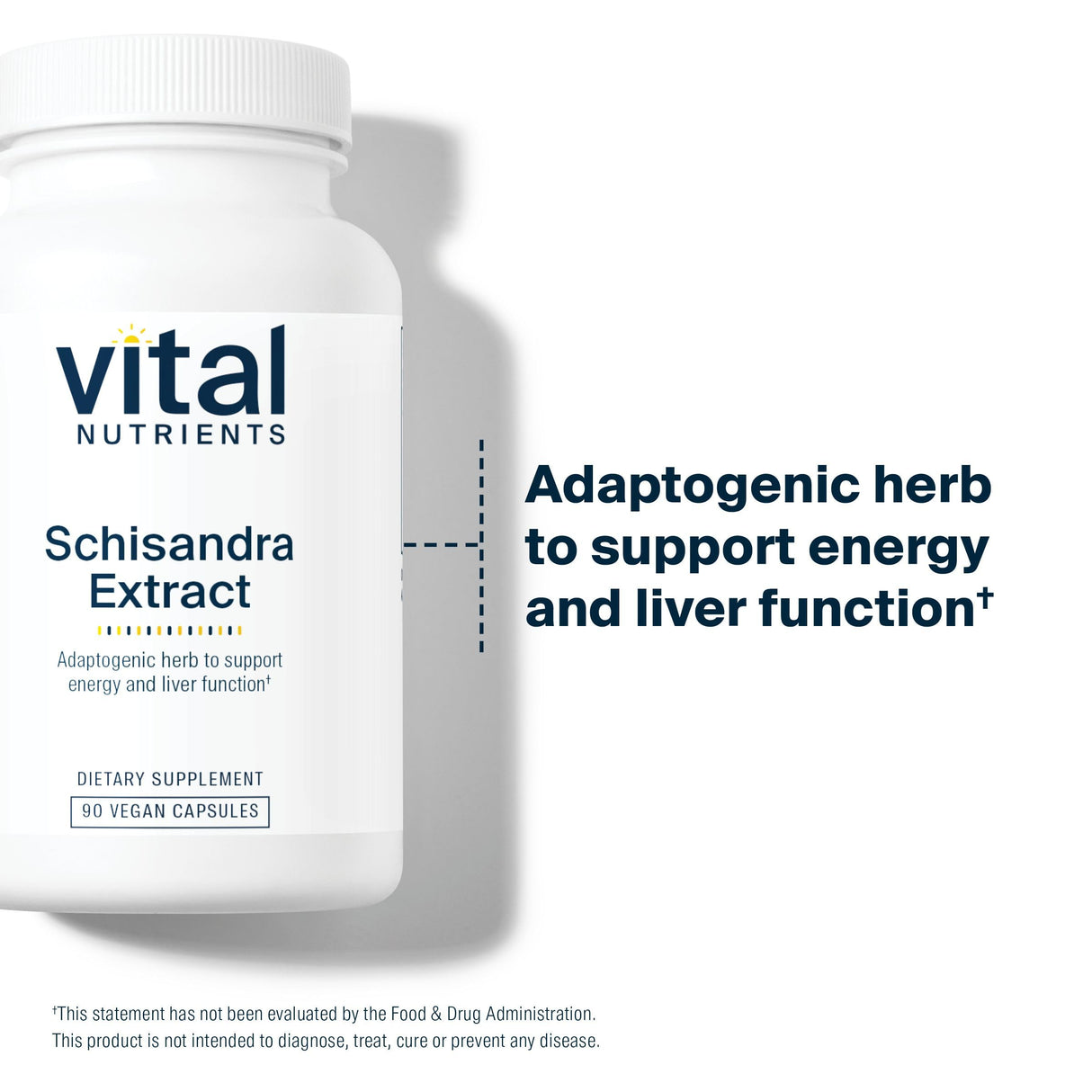 Vital Nutrients - Schisandra Extract - Liver, Immune, Energy, and Endurance Support - 90 Vegetarian Capsules per Bottle - 1000 mg