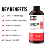 Force Factor L Carnitine Supplement, Liquid L-Carnitine 3000 mg to Help Turn Fat Into Energy, Support Muscle Recovery, and Boost Cellular Energy, Maximum Strength, Non-GMO, Berry Flavor, 16 Oz.