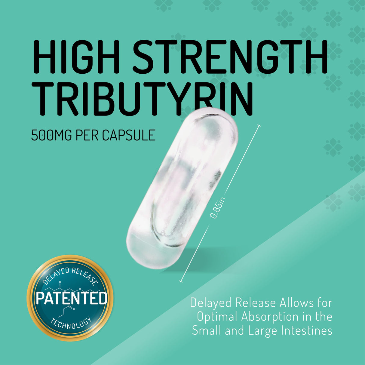 Healus Complete Biotic - Postbiotic Tributyrin Supplement - Postbiotics for Gut Health - Butyrate Gut Health Supplement