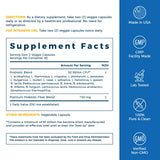 NewRhythm Probiotics 50 Billion CFU 20 Strains, 120 Veggie Capsules, Targeted Release Technology, Stomach Acid Resistant, No Need for Refrigeration, Pack of 1, Non-GMO, Gluten Free