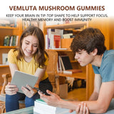 2 Packs 5000MG Mushroom Gummies -10 Blend Organic Mushroom Supplement containing Lion's Mane and Reishi for Brain and Immune Boosting, Vegan Blueberry Flavor, Non-GMO, 120 Counts