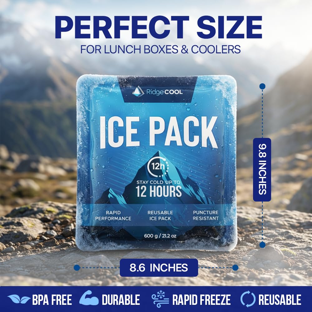 RIDGECOOL 4 Pack Large Reusable Ice Packs for Coolers, Long Lasting Freezer Packs for Cooler Bags and Insulated Totes, Leakproof, BPA-Free, Food Safe