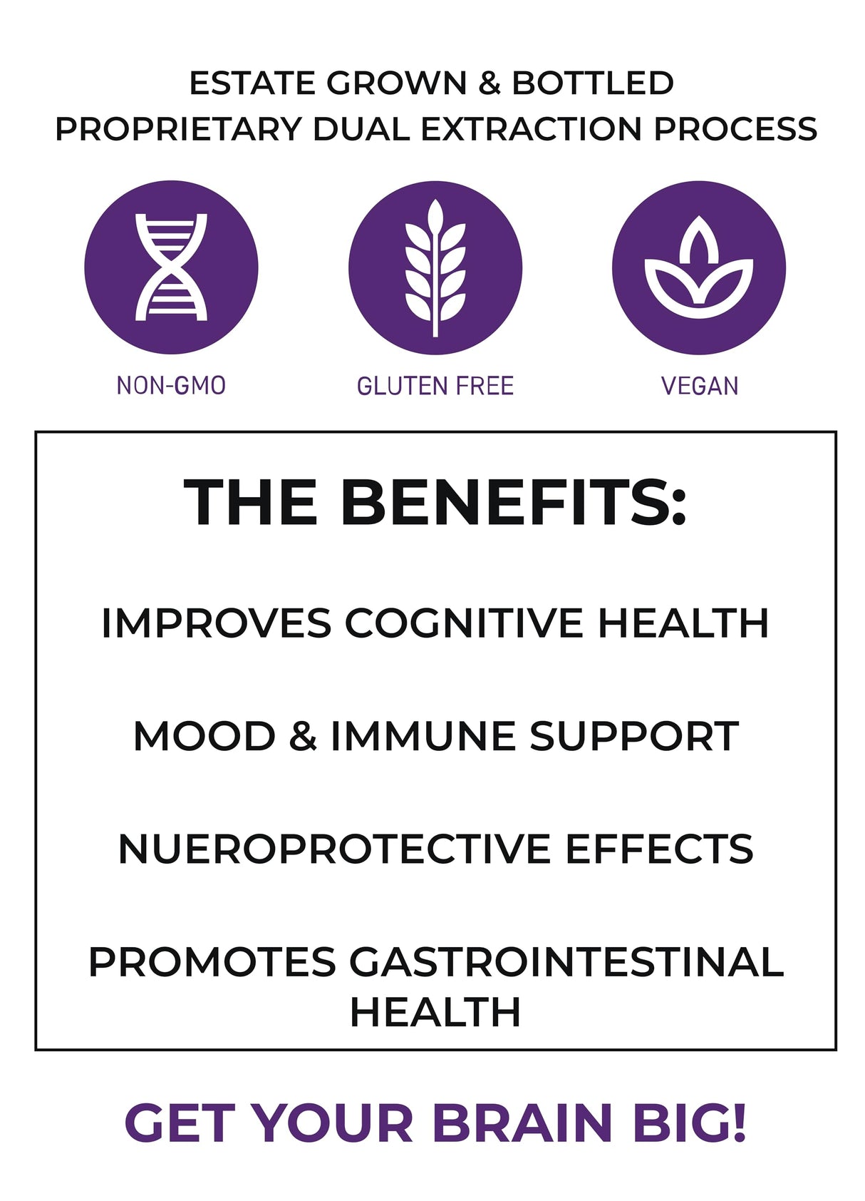 The Mushroom Society Recognition Lion’s Mane Supplement- Dual Extraction Lion’s Mane Super Powder - Mushrooms Supplement for Cognitive & Mood Support - 60 Capsules