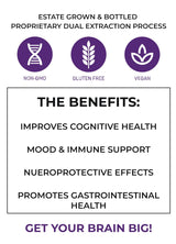 The Mushroom Society Recognition Lion’s Mane Supplement- Dual Extraction Lion’s Mane Super Powder - Mushrooms Supplement for Cognitive & Mood Support - 60 Capsules