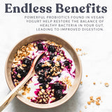 Cultures for Health Vegan Yogurt Starter Culture | 4 Packets Direct-Set Active Cultures | DIY Dairy Free Yogurt from Soy Milk, Oat Milk & Other Plant Based Milk | Vegan Probiotic Yogurt for Gut Health