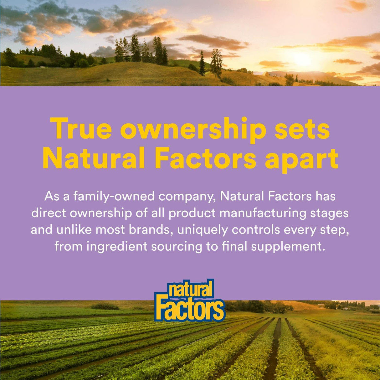 Stress-Relax Pharma GABA 100 mg by Natural Factors, Non-Drowsy Stress Support for Relaxation and Mental Focus, 60 vegetarian capsules (30 servings)