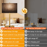 Lynnoland 21" Set of 2 Table lamp with USB A+C & AC Outlets, Touch Control 3-Way Dimmable Nightstand Lamps for Bedroom Living Room Office Reading, Gray Shade Touch Lamps, 5000K LED Bulbs Included