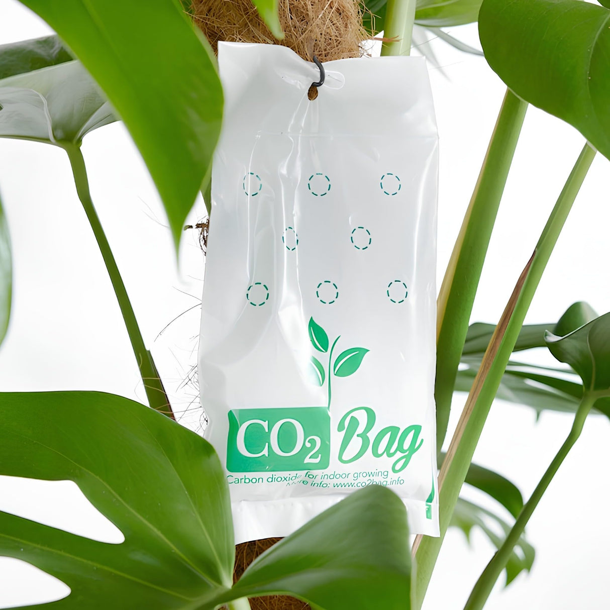 CO2BAG® M 2-Pack - Natural CO2 Generator for Grow Tents & Greenhouses | Value Bundle for Double Coverage | Boosts Plant Growth, Yield & Harvest Speed | Organic Hydroponic Supplement | Maintenance-Free