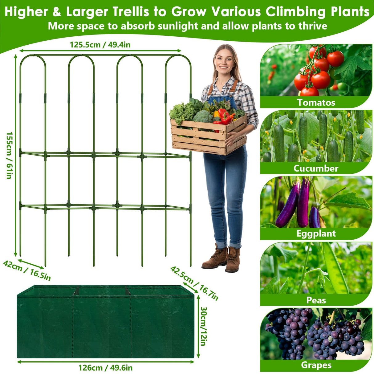 ROADPLUM Cucumber Trellis for Climbing Plants with Grow Bag, 61" Tall Metal U-Frame Garden Trellis for Raised Bed with Garden Netting and Plant Clip Plant Ties for Vegetables, Squash, Pea, Grape