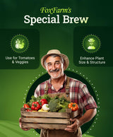 FoxFarm Grow Big Hydroponic Plant Food - 3-2-6 Liquid Plant Fertilizer for Lush Vegetative Growth in Hydroponic Systems - Liquid Concentrate with Earthworm Castings & Micronutrients - 1 Quart