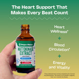 Nattokinase Supplement Liquid Drops – Made of Nattokinase 2000 FU Extract – Vegan, GMO-Free – Liquid Alternative to Natto Veggie Caps – Aids in Maintaining Heart Wellness (Strawberry Watermelon, 60mL)